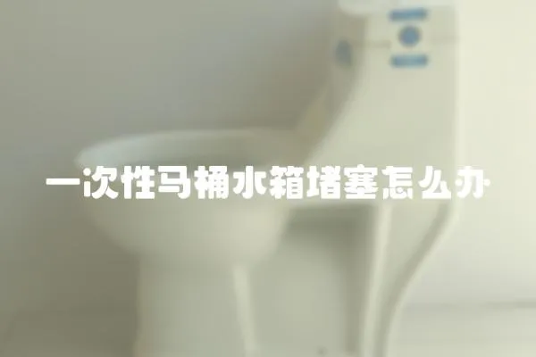 一次性馬桶水箱堵塞怎么辦