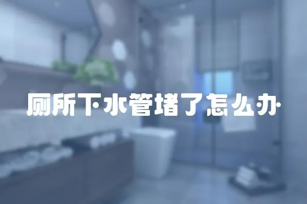 廁所下水管堵了怎么辦