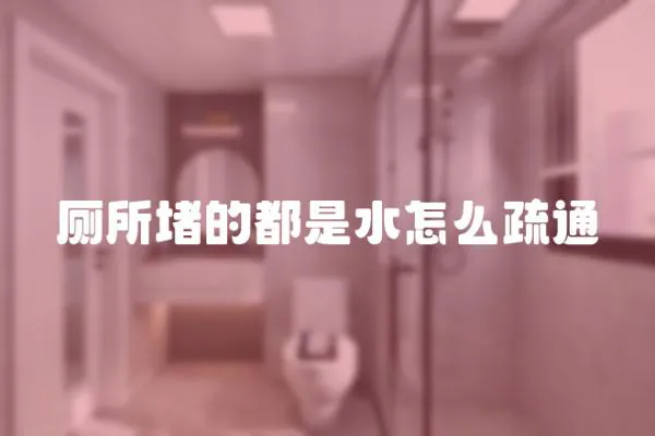 廁所堵的都是水怎么疏通