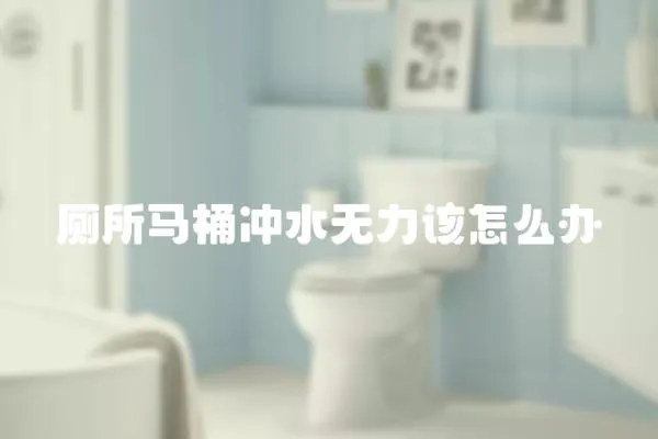 廁所馬桶沖水無(wú)力該怎么辦