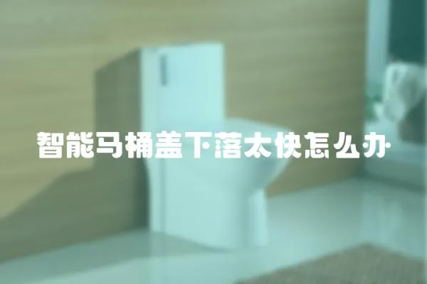 智能馬桶蓋下落太快怎么辦