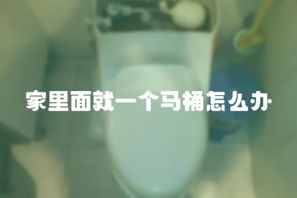 家里面就一個馬桶怎么辦