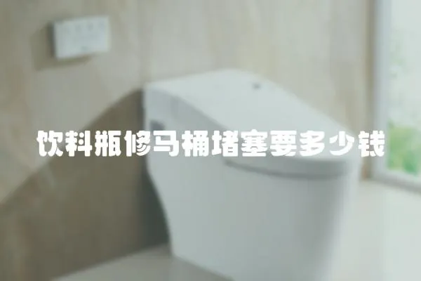飲料瓶修馬桶堵塞要多少錢