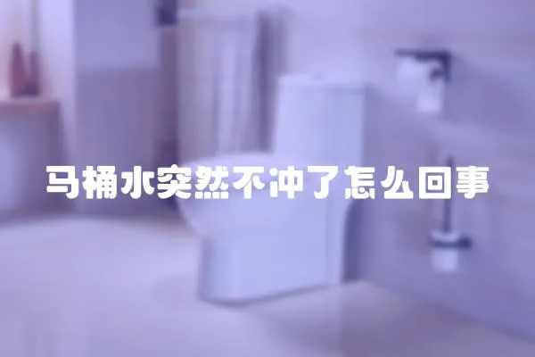 馬桶水突然不沖了怎么回事