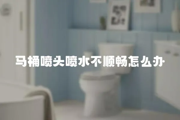 馬桶噴頭噴水不順暢怎么辦