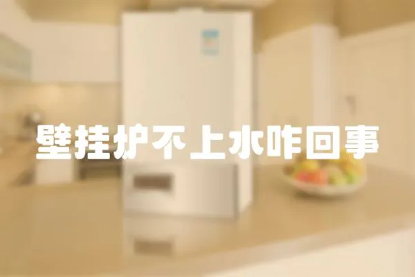 壁掛爐不上水咋回事