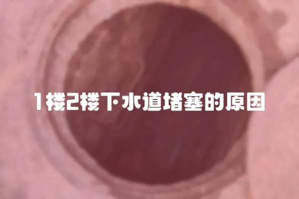 1樓2樓下水道堵塞的原因