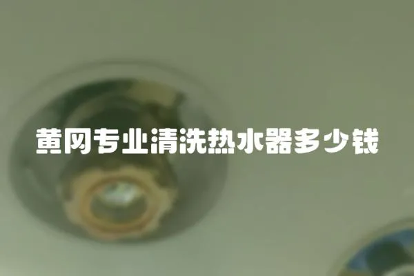 黃岡專業(yè)清洗熱水器多少錢