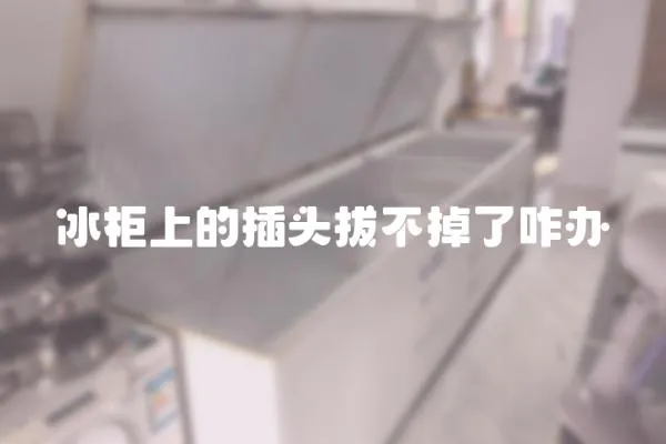 冰柜上的插頭拔不掉了咋辦