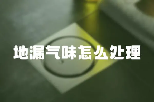 地漏氣味怎么處理