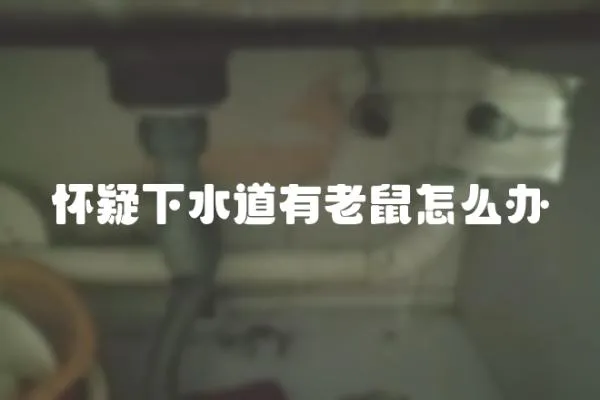 懷疑下水道有老鼠怎么辦
