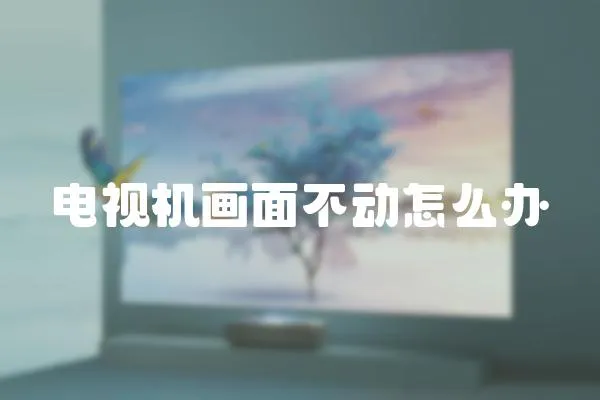 電視機畫面不動怎么辦