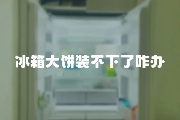冰箱大餅裝不下了咋辦