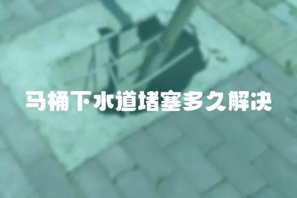 馬桶下水道堵塞多久解決