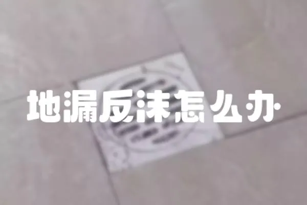 地漏反沫怎么辦