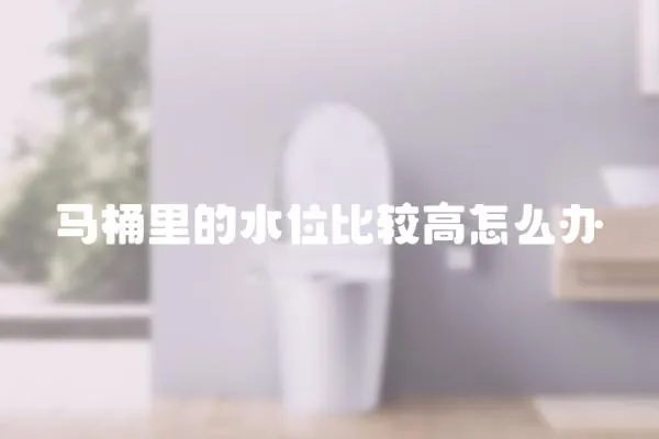 馬桶里的水位比較高怎么辦