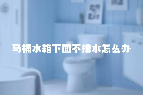 馬桶水箱下面不排水怎么辦