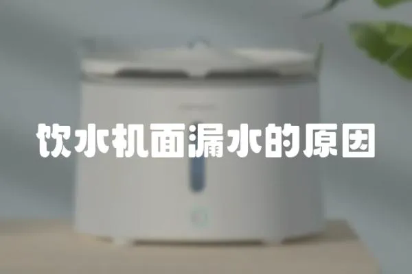 飲水機面漏水的原因