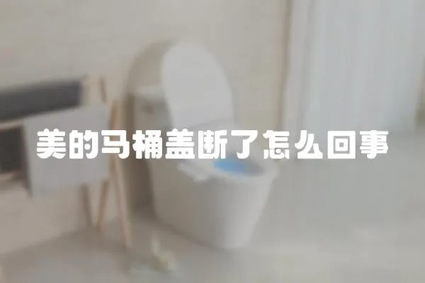 美的馬桶蓋斷了怎么回事