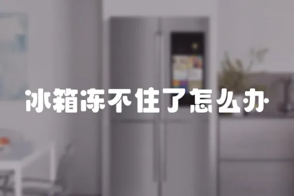冰箱凍不住了怎么辦