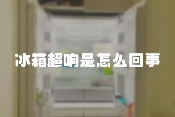 冰箱超響是怎么回事