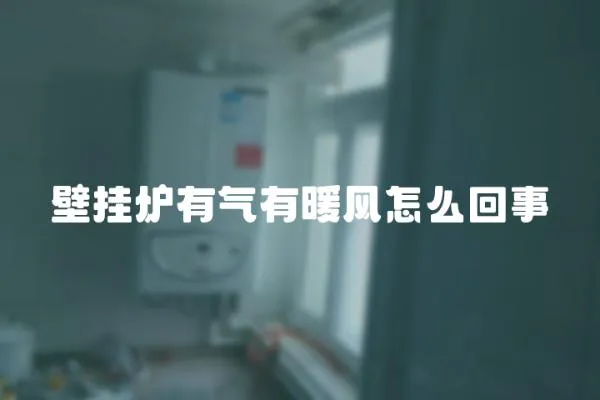 壁掛爐有氣有暖風怎么回事