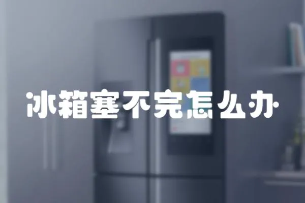 冰箱塞不完怎么辦