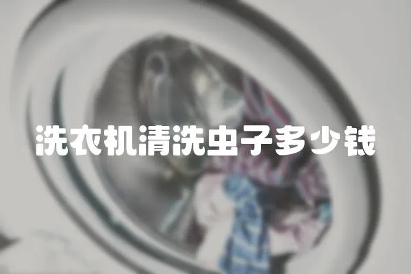 洗衣機清洗蟲子多少錢