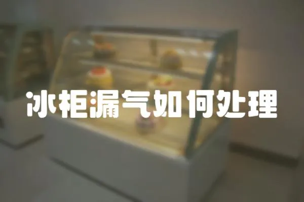 冰柜漏氣如何處理