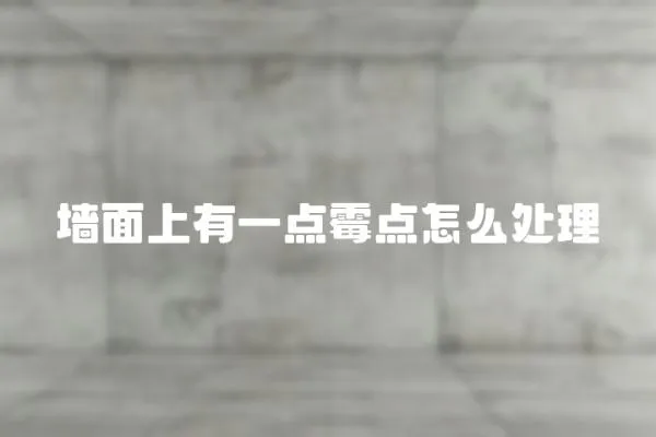 墻面上有一點(diǎn)霉點(diǎn)怎么處理