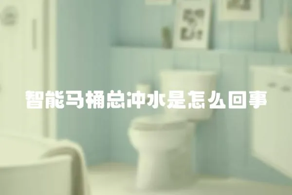 智能馬桶總沖水是怎么回事