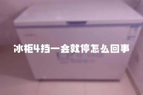 冰柜4擋一會就停怎么回事