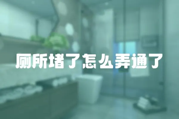 廁所堵了怎么弄通了