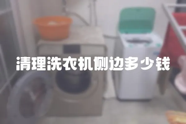 清理洗衣機側邊多少錢
