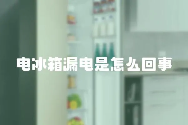 電冰箱漏電是怎么回事