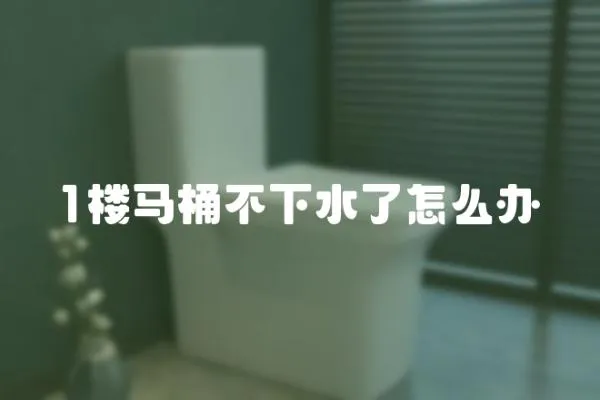 1樓馬桶不下水了怎么辦