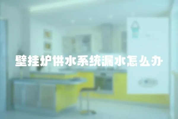 壁掛爐供水系統漏水怎么辦