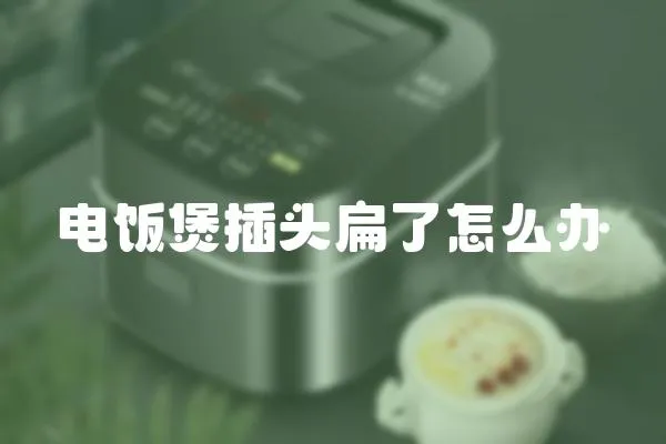 電飯煲插頭扁了怎么辦