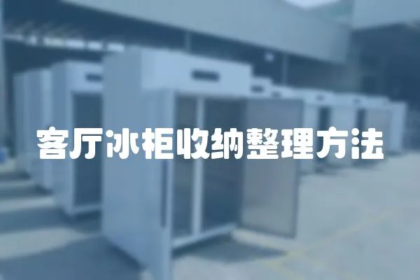 客廳冰柜收納整理方法