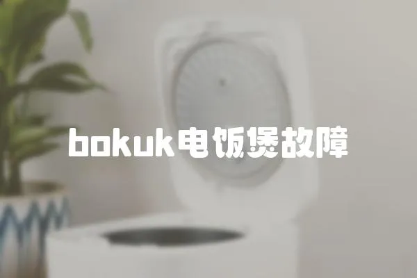 bokuk電飯煲故障