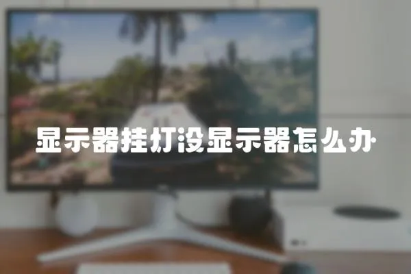 顯示器掛燈沒顯示器怎么辦