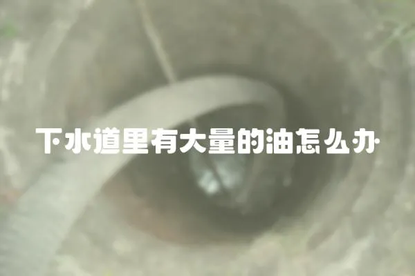 下水道里有大量的油怎么辦