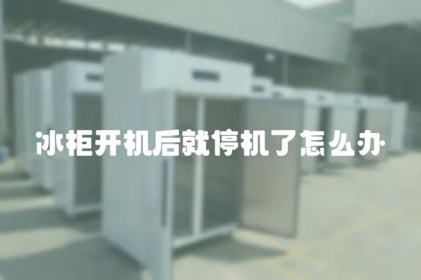 冰柜開機后就停機了怎么辦