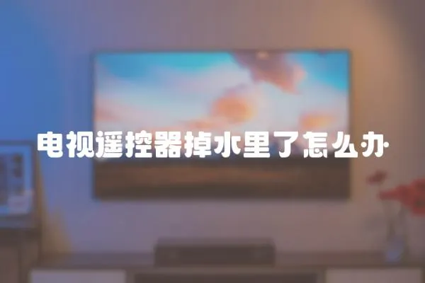 電視遙控器掉水里了怎么辦