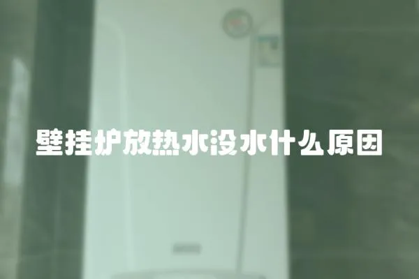 壁掛爐放熱水沒水什么原因