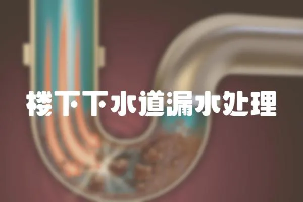 樓下下水道漏水處理