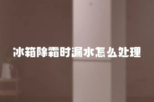 冰箱除霜時漏水怎么處理