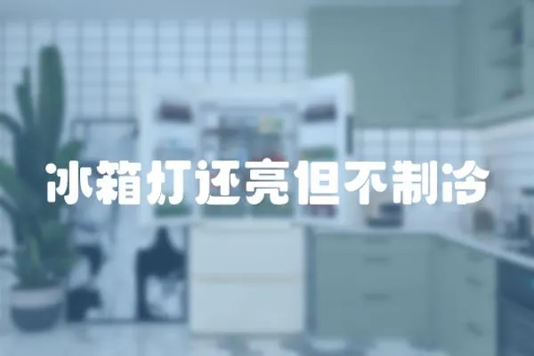 冰箱燈還亮但不制冷