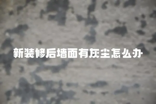 新裝修后墻面有灰塵怎么辦