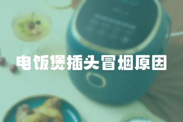 電飯煲插頭冒煙原因